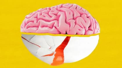 Los científicos afirman que la colina es un nutriente maravilloso