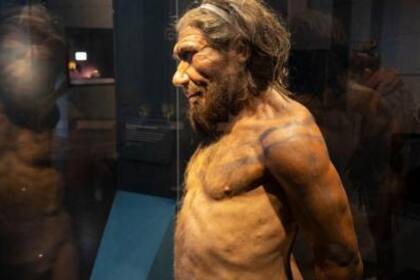 Los científicos creen que no fue fácil para los neandertales y el Homo sapiens comunicarse, ya que eran bastante diferentes.
