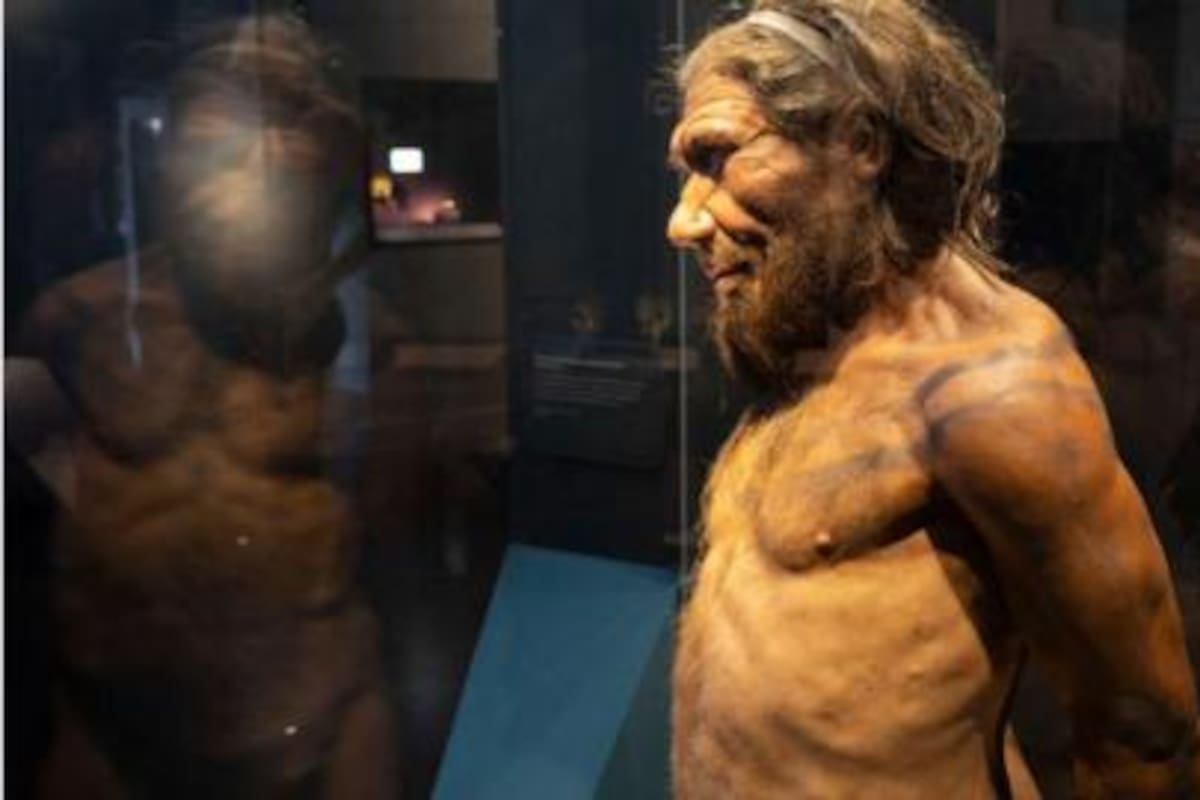 Los científicos creen que no fue fácil para los neandertales y el Homo sapiens comunicarse, ya que eran bastante diferentes.