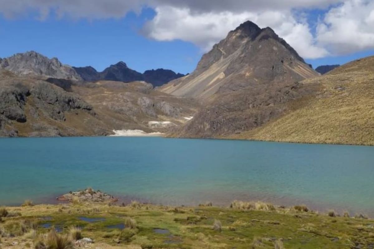 Los científicos estudiaban el uso que hacen los agricultores locales de una técnica de 1.400 años de antigüedad