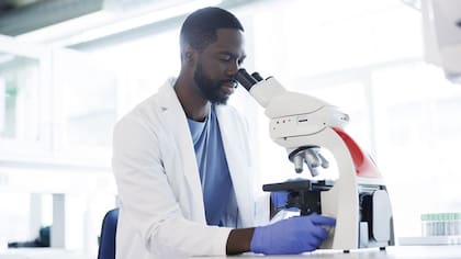 Los científicos han estudiado embriones humanos antes y después de la gastrulación, pero casi no hay acceso a saber qué pasa durante este enigmático pero vital proceso