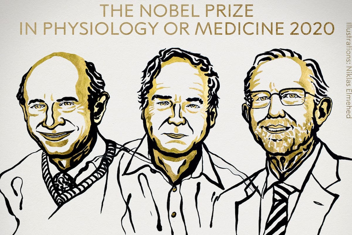 Los científicos Michael Houghton y estadounidenses Harvey Alter y Charles Rice fueron galardonados por sus trabajos y recibirán más de un millón de dólares