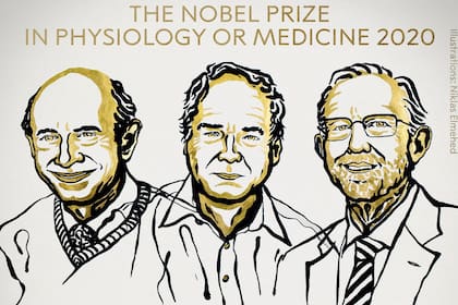 Los científicos Michael Houghton, Harvey Alter y Charles Rice fueron galardonados por sus trabajos y recibirán más de un millón de dólares