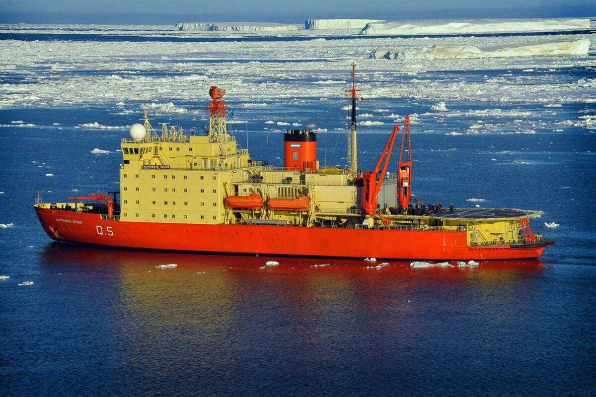 Los científicos no habían podido volver por la cantidad de hielo que había