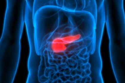 Los científicos observaron que mezclando dos medicamentos obtenían resultados positivos para reducir tumores