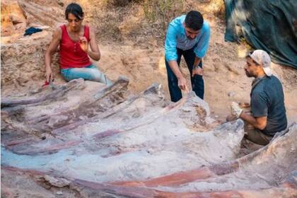 Los científicos presumen que se trata del dinosaurio más grande hallado en Europa