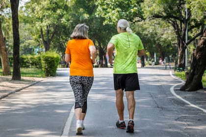 Los científicos que estudian las mitocondrias están algo desconcertados por este nuevo interés