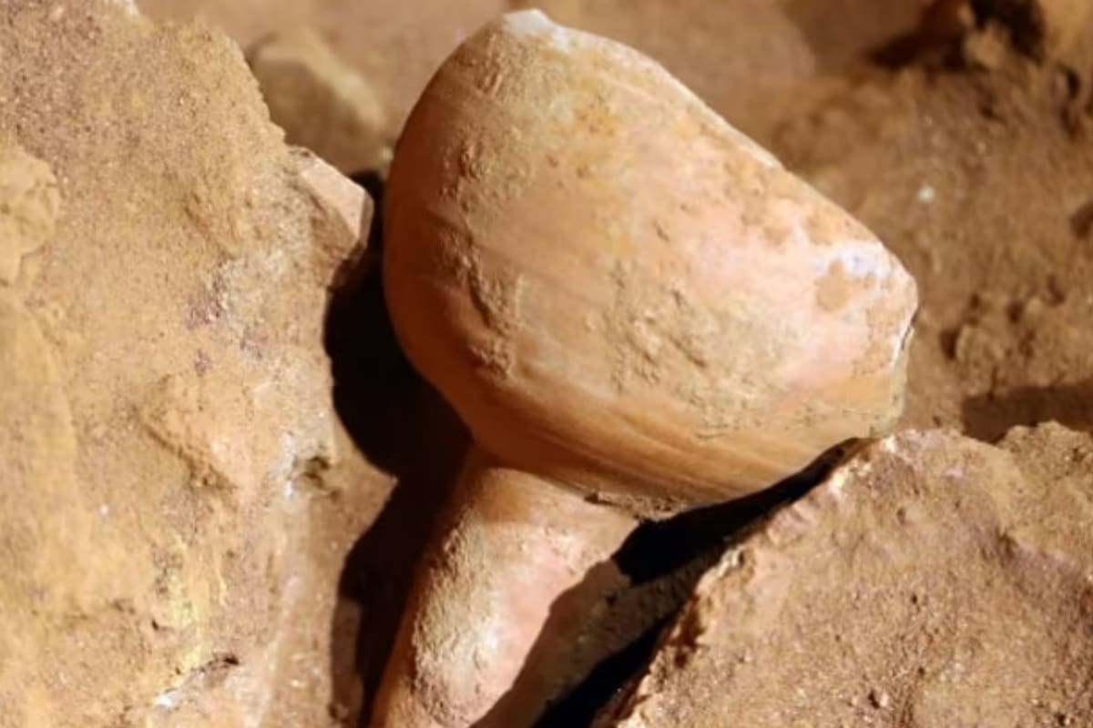 Los científicos resolvieron el misterio de la copa del Santo Grial que fue descubierta en una tumba en Jordania