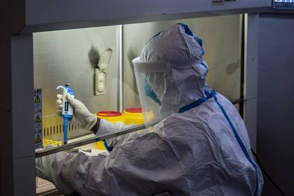 Los científicos se han vuelto figuras populares en medio de la pandemia de coronavirus