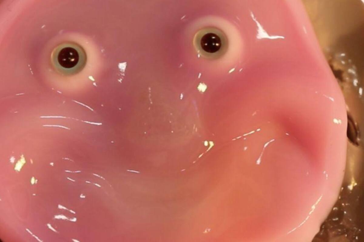 Los científicos se inspiraron en los ligamentos de la piel humana para lograr un prototipo de robot que puede sonreir.