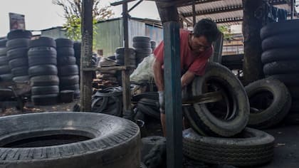Los científicos sospechan que el Ae. vittatus llegó al continente americano en una importación de neumáticos usados