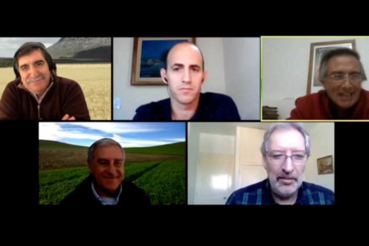 Los cinco expertos, durante el primer panel en la jornada virtual de A Todo Trigo