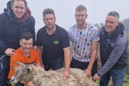 Los cinco rescatistas de Fiona, la "oveja solitaria" de Reino Unido