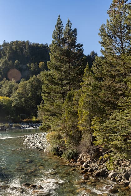 Los circuitos de trekking se internan en valles y cerros y atraviesas bosques de lenga, coihue, ñires y cipreses.