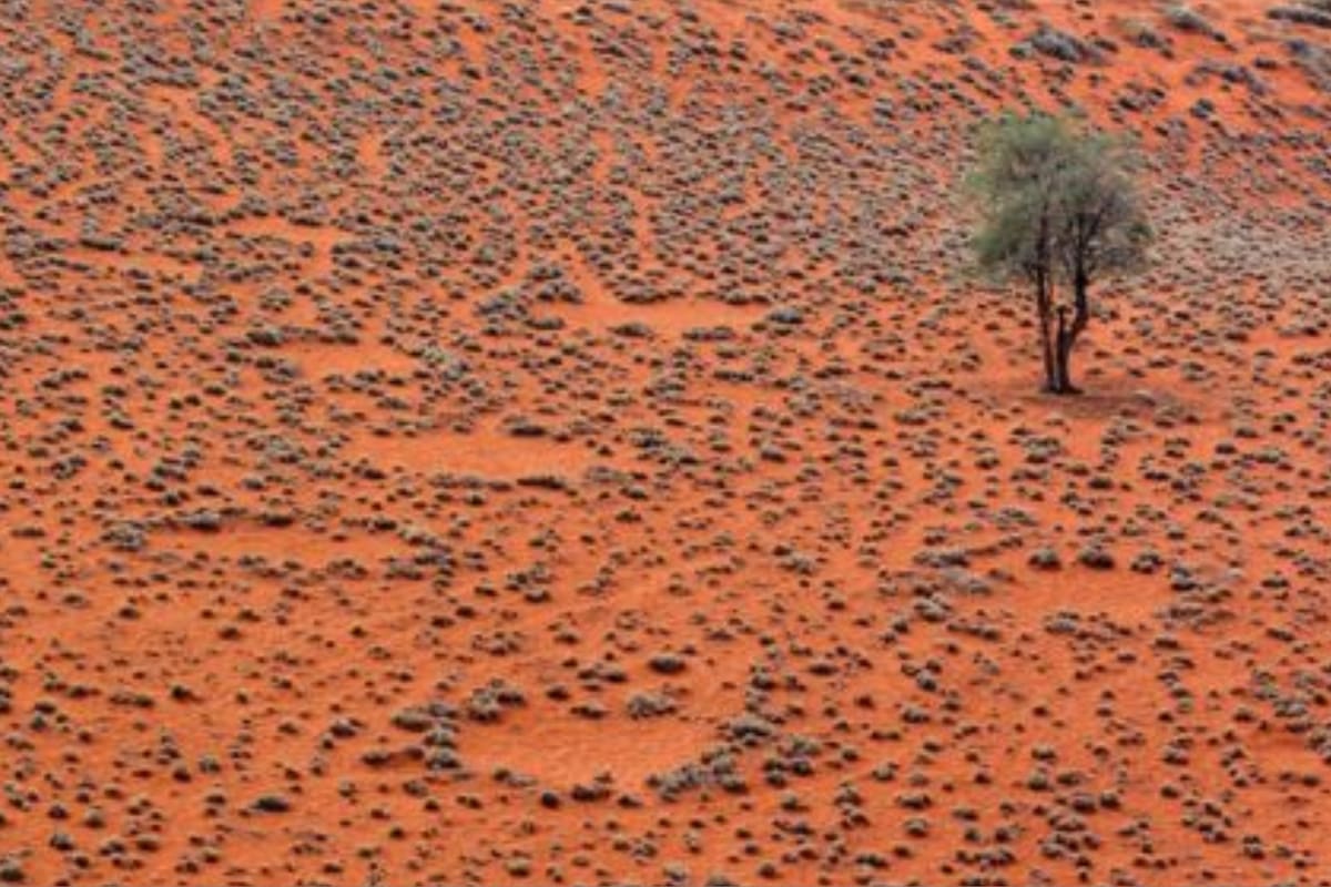 Los círculos de hadas han sido vistos por los nativos himba desde mucho antes de que los científicos los documentaran