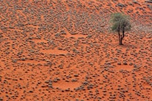 Los círculos de hadas han sido vistos por los nativos himba desde mucho antes de que los científicos los documentaran