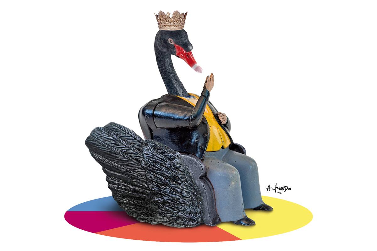 Los cisnes negros en la política