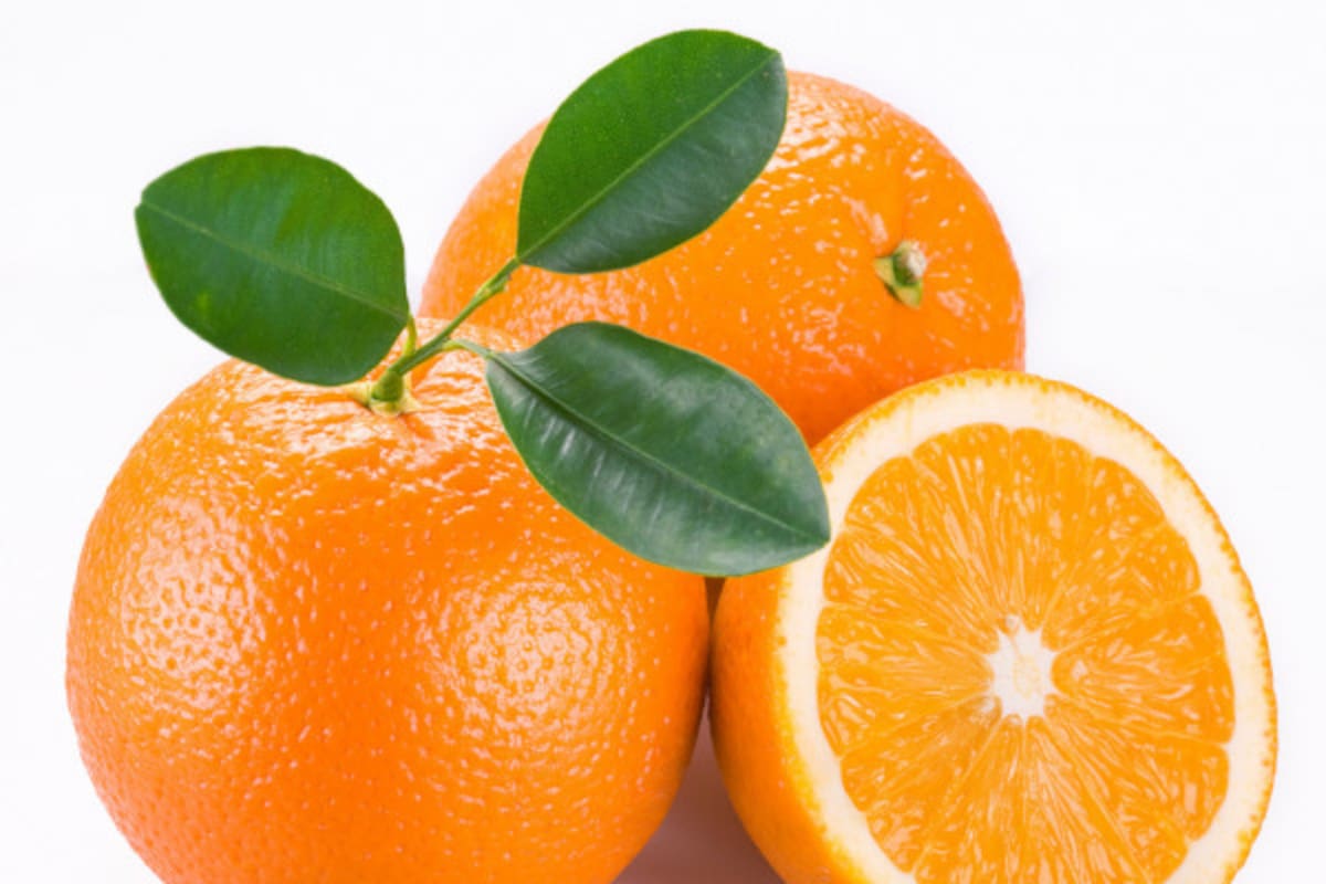 Los cítricos son considerados como un alimento voluminoso-energético