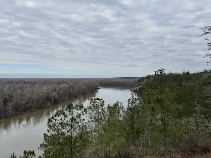 Los ciudadanos de Florida reclaman una prohibición permanente en la cuenca del Apalachicola
