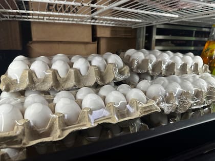 El tráfico de huevos es cada vez más frecuente en Estados Unidos