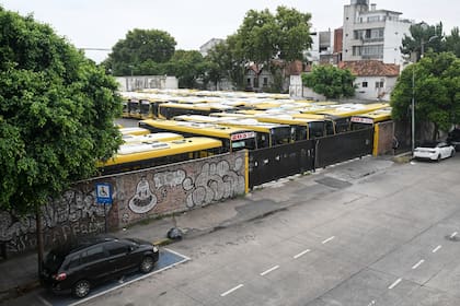 Los colectivos de la línea 203 parados en la terminal