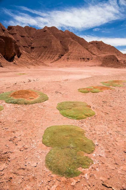 Los Colorados en Salta.