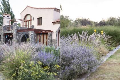 Los colores de las plantas fueron seleccionados a partir de aquellos de los cerros en luz, con sus rosados y ocres, y en sombra, cuando toman tonos violetas y lilas.