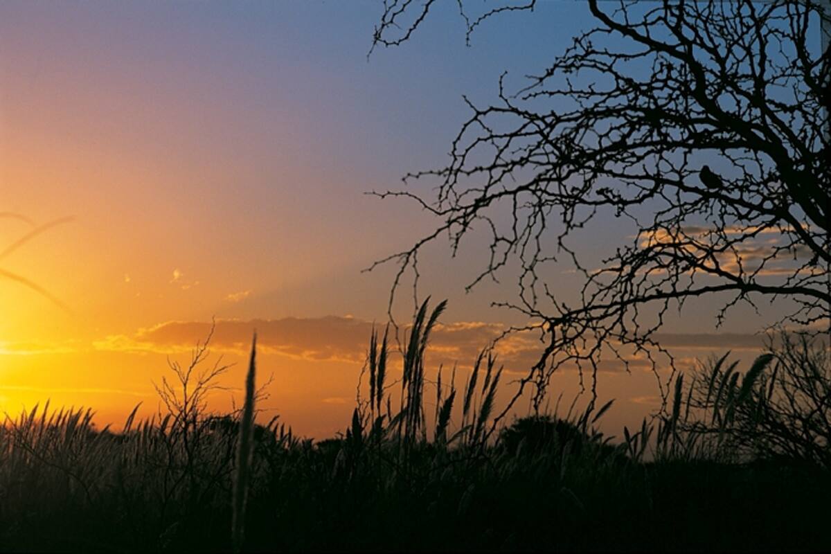 Los colores del atardecer en el campo, una fiesta para los ojos y para el alma