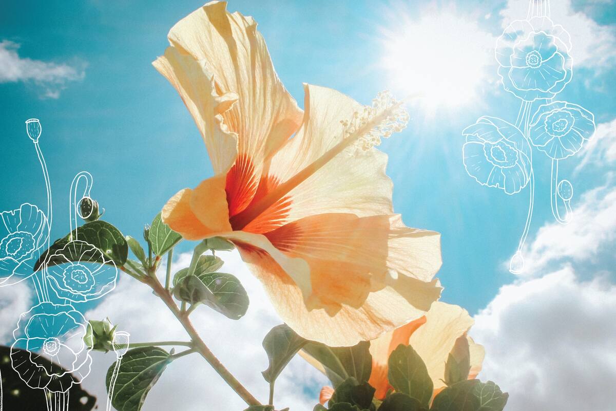 Los colores del cielo primaveral también inspiran al vestirse. Objetos de diseño curados por Club LA NACION.