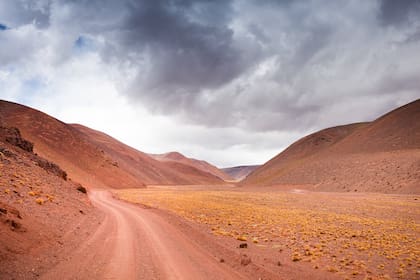 Los colores minerales del paisaje de la RN 76, camino a Laguna Brava