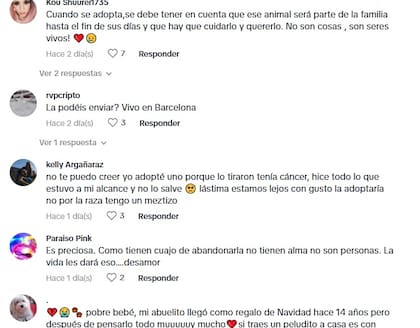 Los comentarios de los usuarios tras conocer la historia de Nanna
