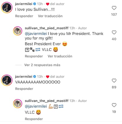 Los comentarios de Milei en la cuenta de Instagram "Sullivan el mastín pío"