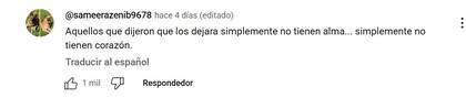 Los comentarios sobre la historia de Evan y los gatos abandonados