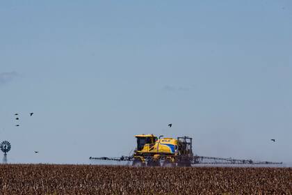 Los compradores del exterior están cada vez más atentos a cómo se aplican fitosanitarios