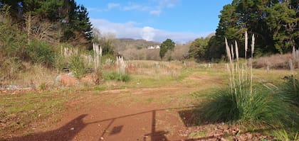 Los concejales libraron una batalla para que el predio se convirtiera en un parque público, pero no tuvieron éxito