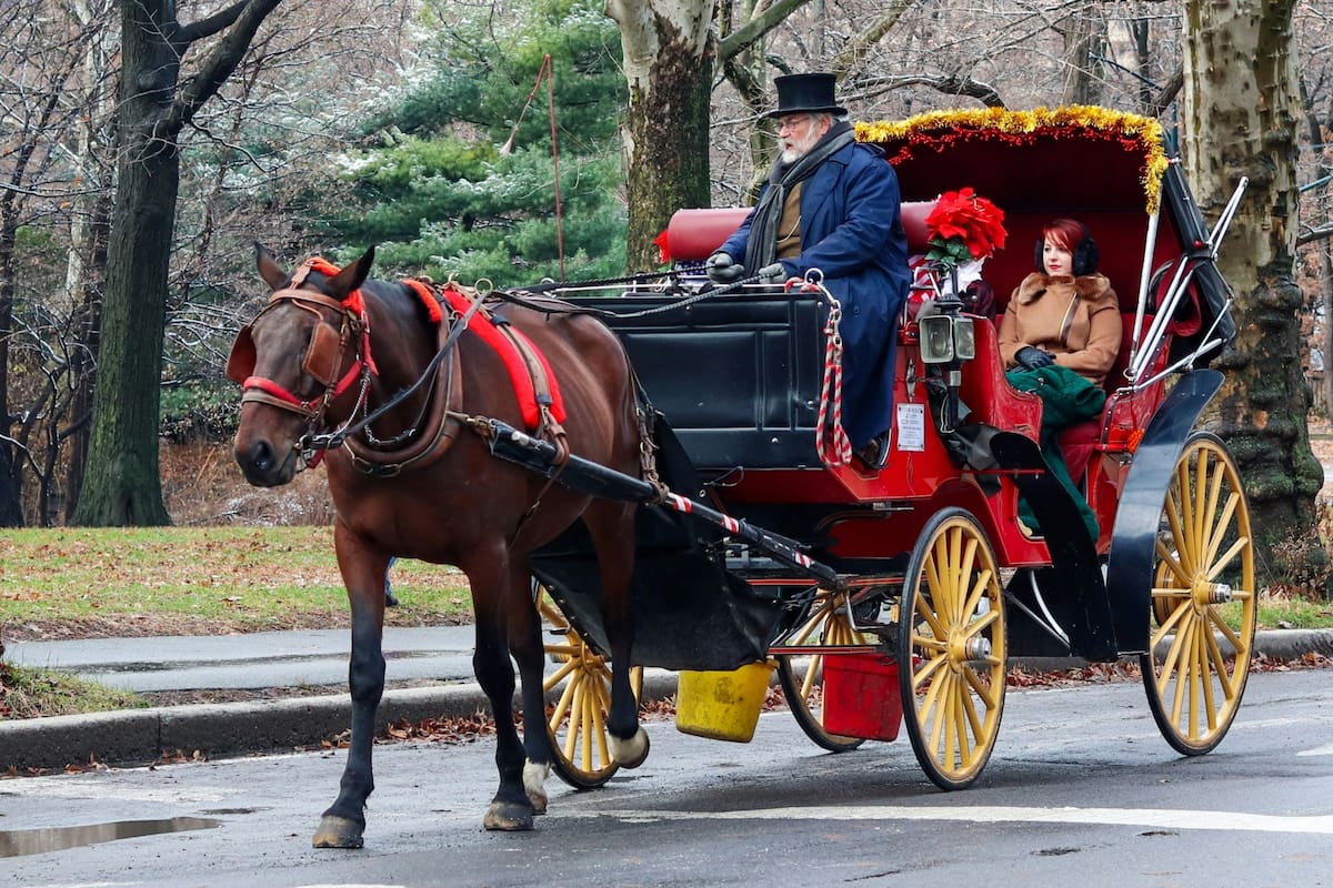 Los conductores de los carruajes en Central Park quedaron en el centro de la polémica