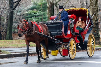 Los conductores de los carruajes en Central Park quedaron en el centro de la polémica