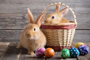 Los conejos de Pascuas para niños ideales para colorear
