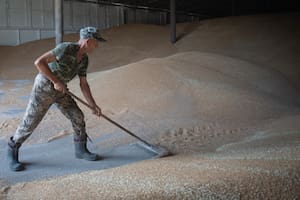 Repuntó el precio del trigo en EE.UU. por las tensiones en Medio Oriente y en la zona del Mar Negro