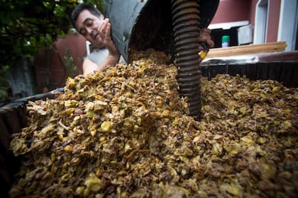 Los consumidores demandas productos cada vez más naturales y orgánicos.