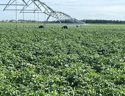 Los consumidores piden garantías de sostenibilidad en los productos que adquieren, desde el uso responsable del agua hasta la preservación de la biodiversidad