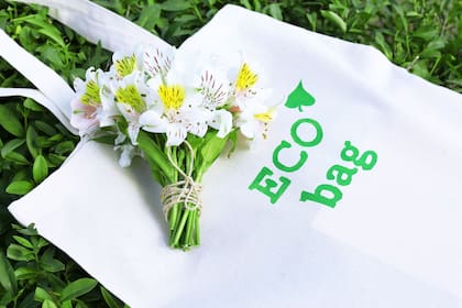Los consumidores que no lleven sus propias bolsas a partir de 2026 tendrán que optar por una bolsa de papel, eliminando completamente las opciones plásticas