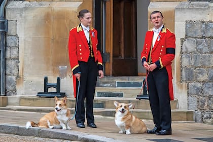 Los Corgis amados de la Reina Isabel II Muick and Sandy ahora viven con sus nuevos dueños el Príncipe Andrés y Sarah Ferguson