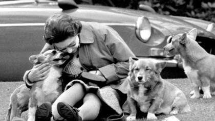 Los corgis fueron compañeros inseparables de la reina Isabel II (Crédito: AFP)