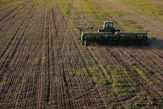 Fuerte aumento de los costos de implantación y protección para los granos gruesos