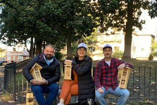 Son amigos y crearon un emprendimiento que busca proteger a las abejas de la ciudad