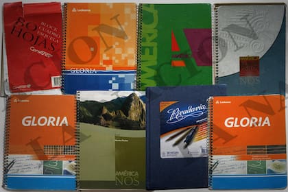 Los cuadernos con anotaciones del chofer Oscar Centeno llegaron a las manos del periodista de LA NACION Diego Cabot, quien reveló la causa de corrupción más importante de los últimos años en la Argentina