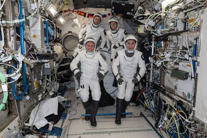 Los cuatro astronautas regresaron sanos y salvos a la Tierra en la madrugada del jueves