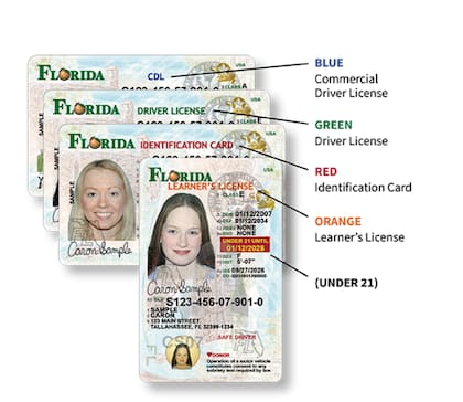 Los cuatro encabezados de las nuevas licencias e identificaciones en Florida