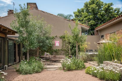Los cuatro fresnos protagonistas y la plantación de crisantemos y margaritones que recorre todo el jardín